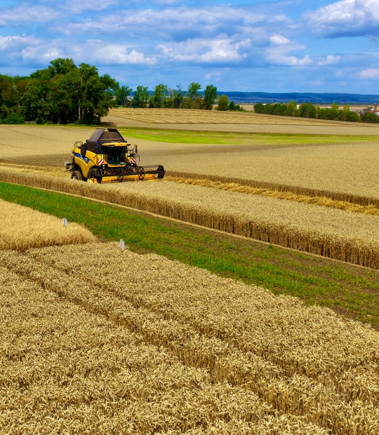 landwirtschaft new color ki markenentwicklung