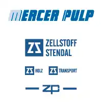 mercer zellstoff stendal new color