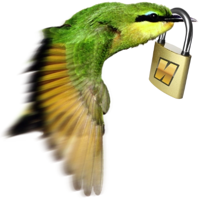 Das NEW COLOR Wappentier, der Kolibrie im Flug, trägt ein Schloss auf seinem Schnabel und transportiert die Sicherheit, die man beim Datenschutz gewohnt ist.