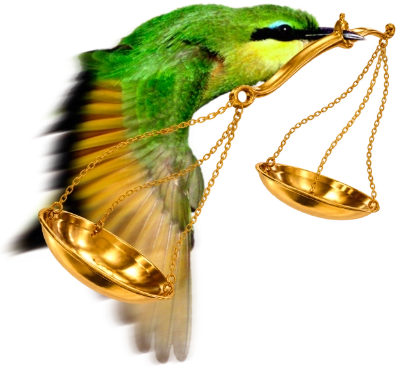 Das NEW COLOR KI-MarkenEntwicklung Wappentier, der Kolibri im Flug, hat auf seinen Schnabel die Waage der Justitia aufgespießt und symbolisiert, dass hier dem Kunden die AGB im Fluge serviert werden.