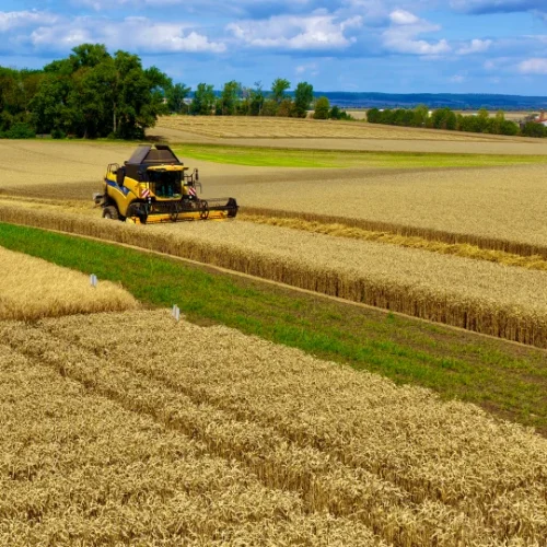 landwirtschaft new color ki markenentwicklung